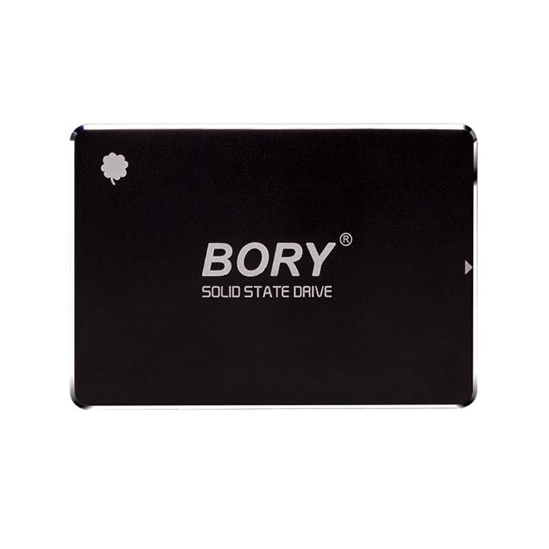 256 GB BORY SATA3 R500-C256G SSD 550/510 MBS (3 YIL GARANTİLİ)